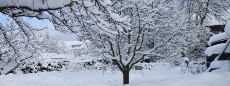 Winter in Frauenau