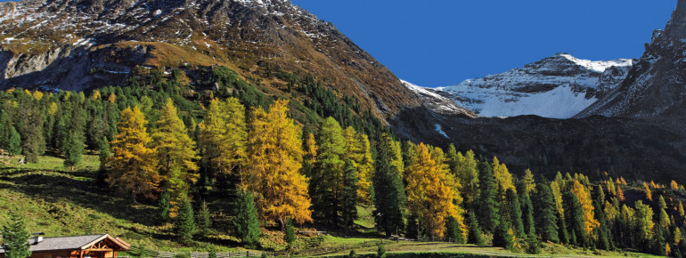 ein Stück Zillertal