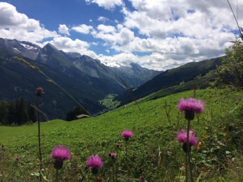 Sommer im Tuxertal