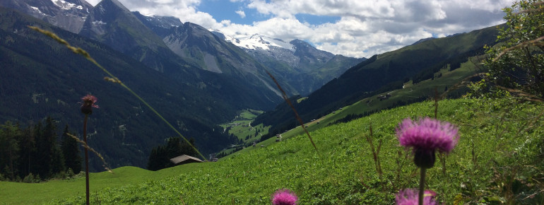 Sommer im Tuxertal