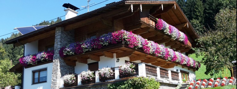 Viele bunte Blumen schmücken das Haus