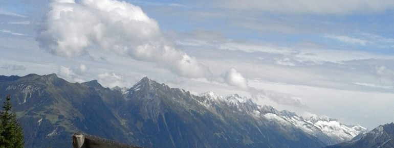 Sommer am Penken Mayrhofen