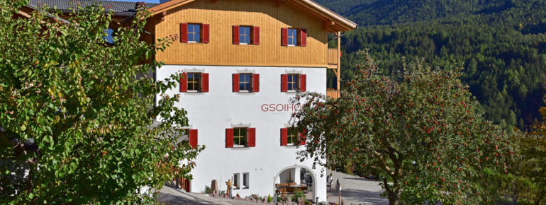 Hotel Gsoihof