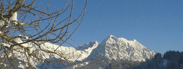 Ausblick aufs Nebelhorn