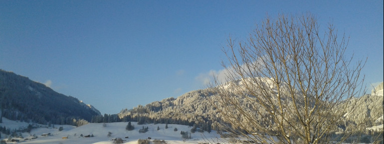 Aussicht vom Alpen-Glühen nach Obermaiselstein Im Park Nagelfluhkette