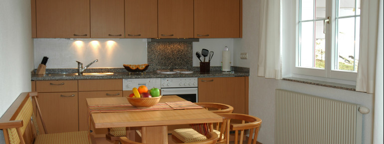 Appartement - Küche komplett eingerichtet mit Geschirrspühler, & Mikrowelle