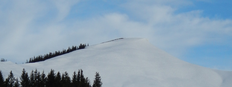 Riedberger Horn