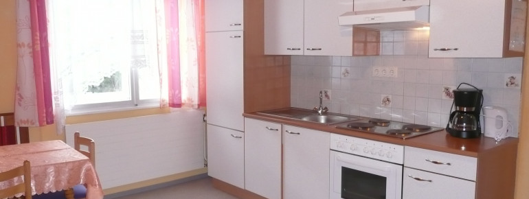 Wohnschlafküche Appartement Erna