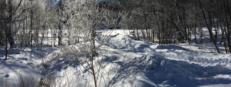 Winter in Bayerisch Eisenstein