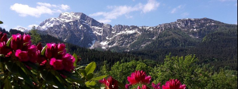 Südblick mit Hohem Göll und Kehlstein