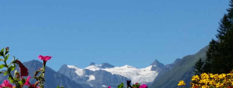 Sommer und die ganzj&auml;hrig schneebedeckten Gletscher der Stubaier Alpen