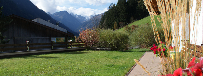 Wunderbarer Blick zum Stubaier Gletscher