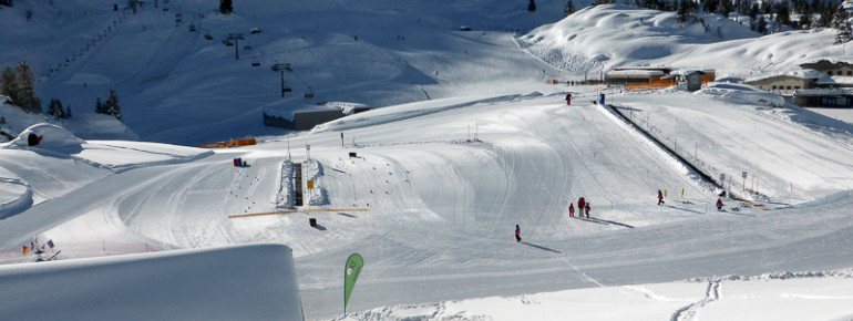 Paulis Skiarena