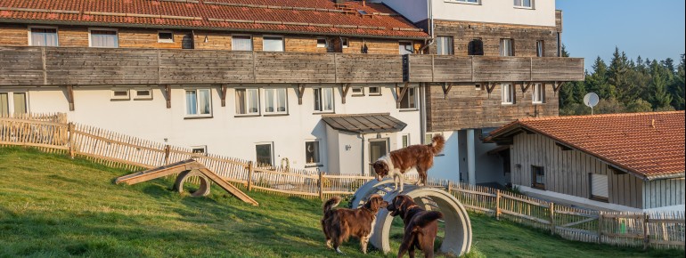 Hundeplatz