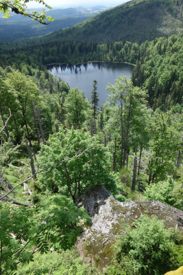 Der Rachelsee im Nationalpark Bayerischer Wald