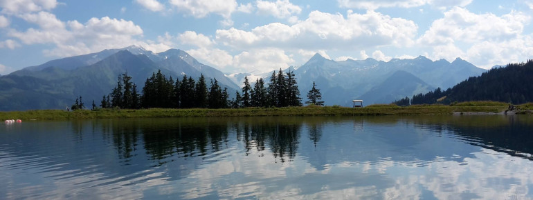 Plettsaukopf Sommer