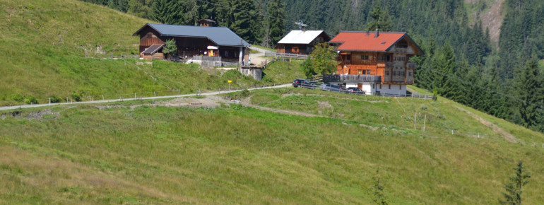 Sommer auf der Alm