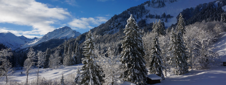 Aussicht vom Balkon