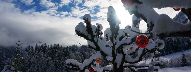 Ausblick vom Alpengasthof-Hotel Schwand