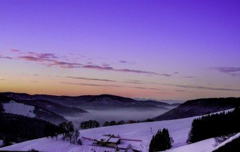 Blick vom Zimmer