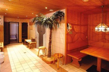 Wellnessbereich mit Sauna und Dampfbad