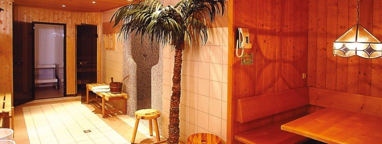 Wellnessbereich mit Sauna und Dampfbad