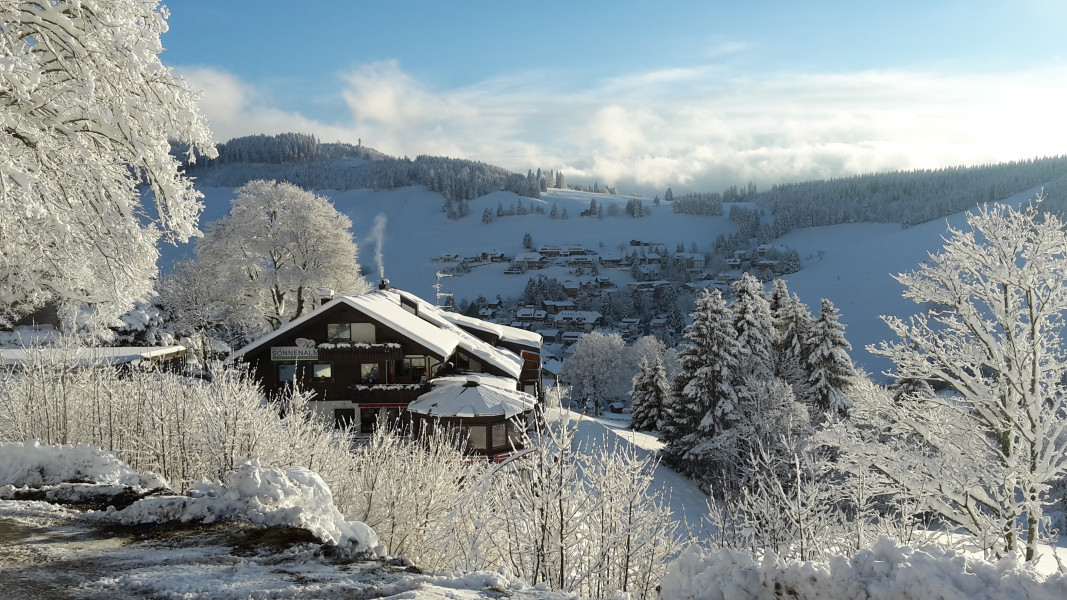 Panorama Lodge Sonnenalm in Todtnauberg im Hochschwarzwald. Winter mit Ost-Blick
