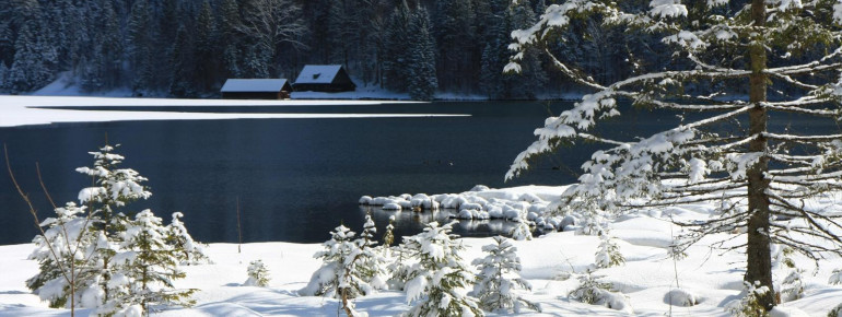 Almsee im Winter