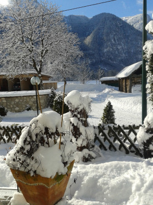 Ausblick von der FW Landhaus Bergidyll **** im Winter
