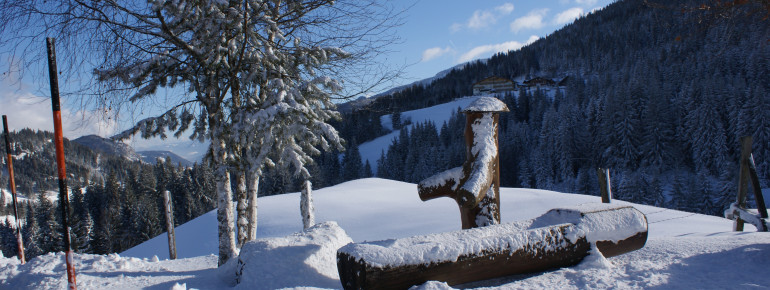 Brunnen im Schnee