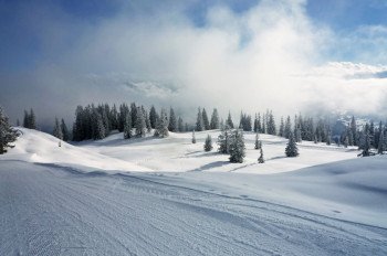 Höhenloipe Rossbrand in Filzmoos - Langlaufen und Winterwandern
