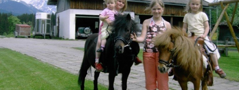 Die Ponys sind die Lieblinge der Kinder