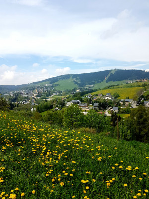Blick auf Oberwiesenthal im Sommer