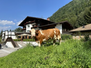 Pension in Natur