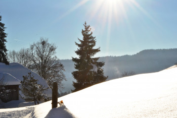 Blick ins Tal Todtnauberg