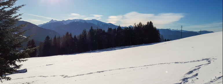 Speckerhof im Winter