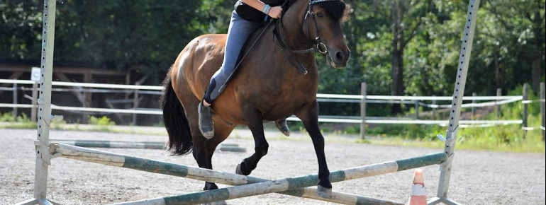 Reiten