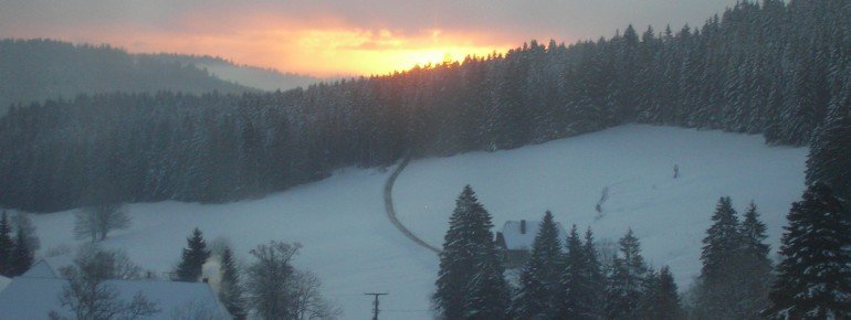 Sonnenaufgang im Bruckbachtal!