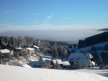 Panorama Ortskern Brigach