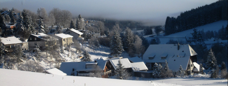 Panorama Ortskern Brigach