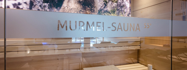 Hotel mit Sauna in Zug-Lech