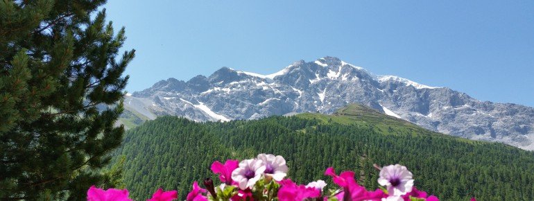 Sommerpanorama von Austerasse