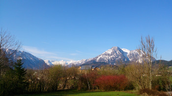 Dachsteinpanorama SEEBLICK und DACHSTEIN