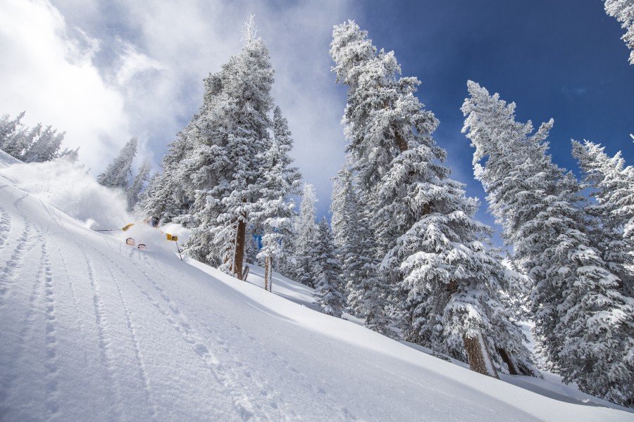 Enjoy one of the best ski resorts wordlwide