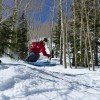 Tree-Skiing Part 2