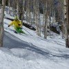 Tree-Skiing in Aspen Mountain