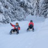 The six-kilometer-long toboggan run in See is one of the most beautiful in the region.