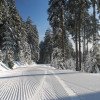 Perfectly groomed slopes wait to be discovered in the Braunlage Wurmberg ski area.