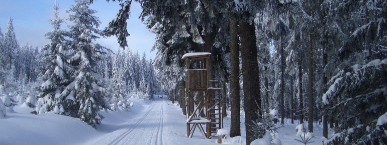Cross-country skiers will find beautiful trails around Carlsfeld.