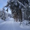 Cross-country skiers will find beautiful trails around Carlsfeld.